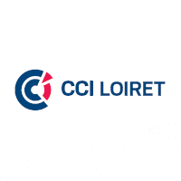 Logo CCI Loiret