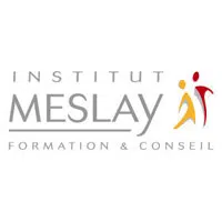 Logo De L'institut Meslay